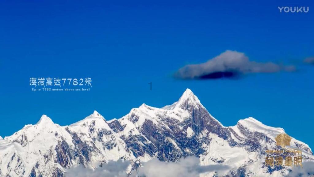 请勿打扰
